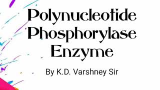 Polynucleotide Phosphorylase enzyme [upl. by Conway]