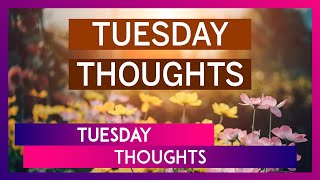 Tuesday Thoughts Funny Quotes That Will Help You Survive At Work [upl. by Menken306]