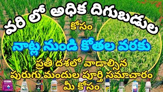 Rice Pesticides A to Z informationవరి పంట ప్రతి దశలో వాడాల్సిన పురుగు మందుల పూర్తి సమాచారం మీ కోసం [upl. by Sam981]