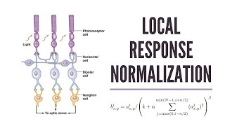 Local Response Normalization for Deep Learning Explained [upl. by Vinn]