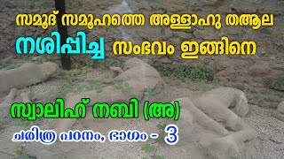 സ്വാലിഹ് നബിഅചരിത്രം ഭാഗം 3 SALIH NABI HISTORY MALAYALAM part 3 അള്ളാഹുവിന്റെ കഠിനമായ ശിക്ഷ [upl. by Fakieh]