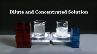 Dilute and concentrated solutions [upl. by Padegs]