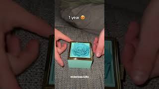 quotCelebrate a year of love with a beautiful ring and a curated gift box made just for herquot [upl. by Nnave]