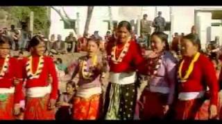 Basan puri dhanadeuda song by Prakash Thapa and Devi Gharti [upl. by Tahpos]