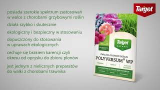 Polyversum WP [upl. by Oinoitna]