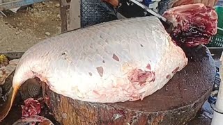 Betmangla FISH SHOP FISH CUTTING 10 KG FISH 🐠luqm55 [upl. by Ellett914]