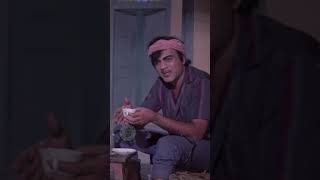 Mehmood Ki Zabardast Comedy  bollywoodmovies ytshorts hindicomedy comedymovies funnyshorts [upl. by Yllehs]