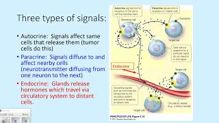 Signal Transduction Pathways  Unit 4 part 8 pp114119 [upl. by Ordnagela]