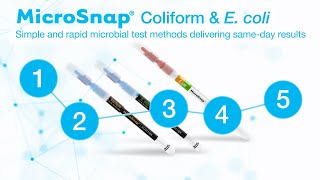 MicroSnap®  Coliform amp E coli with EnSURE® Touch  How To Use [upl. by Scarlet392]