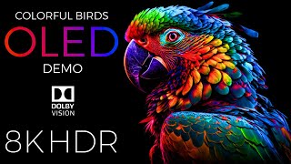 Colorful Birds OLED Demo HDR 8K Ultra HD Dolby Vision™ 60fps [upl. by Jasisa]