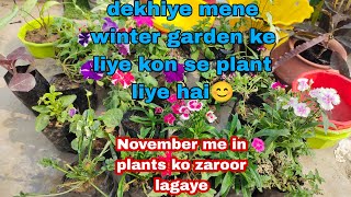 Mere winter flower plant ki shopping ll November me kon se plant laga sakte hai ll winter flower [upl. by Rambert]