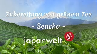 Doku Grüner Tee Die richtige Zubereitung von Sencha  Die Welt des japanischen Tees bei Japanwelt [upl. by Fachanan487]