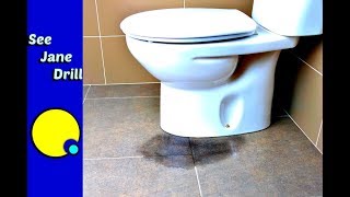 Anyone Can Fix a Leaky Toilet [upl. by Norina640]