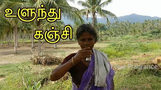 Moms Ulundhu Kanji  Natural Medicine for Cold  Ulundhu Kanji Recipe in Tamil  Food Fragrance [upl. by Shayne]