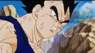 TODAS LAS FUSIONES DE GOKU Y VEGETA [upl. by Hennie8]