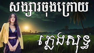 សង្សារចុងក្រោយ ភ្លេងសុទ្ធ  លាង សុផាឡែន  Songsa jong kroy  Pleng sot [upl. by Nahtanhoj]