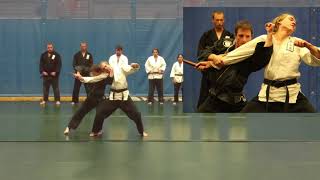 6th UNM Martial Arts Expo Wa Shin Ryu Jujutsu Demonstration [upl. by Deadman]