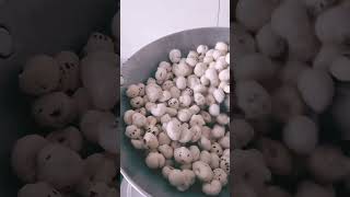 I Tried Roasted Makhana [upl. by Naehs]