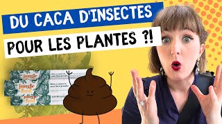 Du caca dinsecte pour ses plantes dintérieur [upl. by Meeharb]