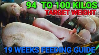 19 WEEKS FEEDING GUIDE SA BABOY PAKAIN PARA MA HIT ANG 94 KG TO 100 KILOS NA LIVE WEIGHT [upl. by Nisen]