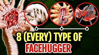 8 Every Type Of Facehuggers In The XenomorphAlien Franchise  Explored In Detail [upl. by Mikes45]