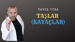 TAŞLAR VE KAYAÇLAR tytcoğrafya aytcoğrafya coğrafya [upl. by Aihsilat]