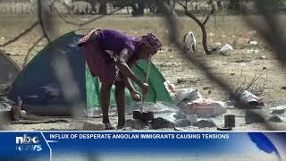 Influx of Angolan immigrants causing tension  nbc [upl. by Annaid983]