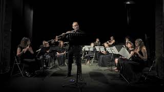 Fantaisie brillante sur Carmen Andrea Manco e Maestrale Flute Ensemble [upl. by Eimrej]