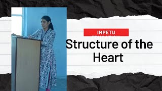 Structure of The Heart  heart structure for BSc nursing [upl. by Dix]