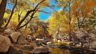 Aravaipa Canyon December 2023 [upl. by Verene]