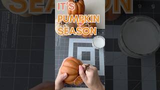 Pumpkin Decor on a Dime  Dollar Store Hacks to Impress [upl. by Yllak]