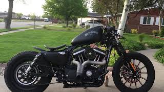 2015 Harley Davidson Iron 883 Walk around [upl. by Pammie]