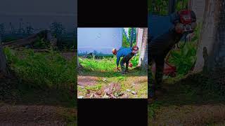 First Steps to a Clean and Beautiful Garden CleanGrassGardenCleaningGardenBeautification [upl. by Bastian]