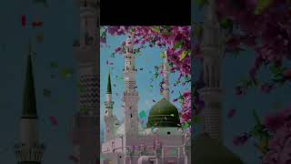 ROUNAK MADINA SHARIF KAytshortsytvideobmwkabamadinaviral video [upl. by Down728]