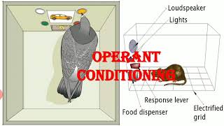 Operant conditioning in Malayalam version [upl. by Asserak]