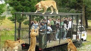 10 MOST STUNNING ZOOS IN THE WORLD [upl. by Cony]