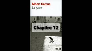 12  La peste de Camus  Chapitre 12  livre audio [upl. by Lorrie]