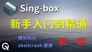 【最全系列教程】Singbox软路由端零基础入门教程  singbox内核介绍、shellcrash的使用 [upl. by Atsyrk]