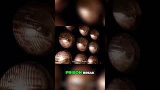 Inside a Prison Escape Lanes Daring Attempt [upl. by Assirod]