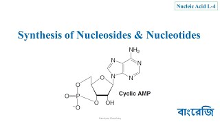 253 Synthesis of Nucleosides amp Nucleotides Biosynthesis and Laboratory Synthesis [upl. by Woodie]