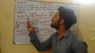 Synthesis of CHLORAMPHENICOL PART 1 MEDICINAL CHEMISTRY [upl. by Lerud]