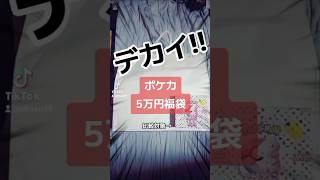 【ポケカ5万円福袋】今年も残り1か月となり、お正月に買って置いた、デカイポケモンカード5万円福袋を開封してみた。（開封動画） ポケカ 福袋 ポケモンカード [upl. by Xaviera]