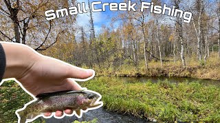 Small Creek Trout Fishing  Fly Rod snaps and breaks [upl. by Ajnek476]