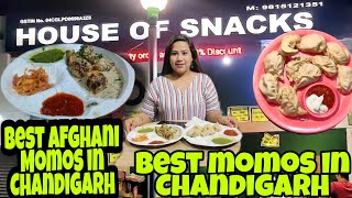 Best Momos Shops in Chandigarh  Momos Review by Udte Parindey Afghani momos  Indian street Food [upl. by Assertal616]