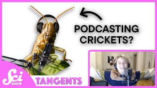 Quiet  SciShow Tangents Podcast [upl. by Nireves]