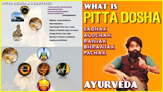 Pitta Dosha Made Simple  Easy Ayurveda Animation [upl. by Tuddor]