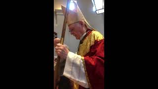 Solemn Synod Mass Processional With Anglican Archbishop [upl. by Padegs496]