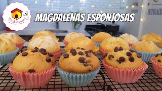 Como hacer Magdalenas deliciosas con pocos ingredientes RECETA PRINCIPIANTES [upl. by Vicki]