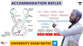 Accommodation Reflex  Special Sense Physiology [upl. by Nivac841]