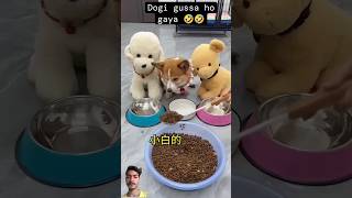 😂Dog comedy😂 dog sorts youtubeshorts video viralvideo funny comedy youtubereels [upl. by Shanie]